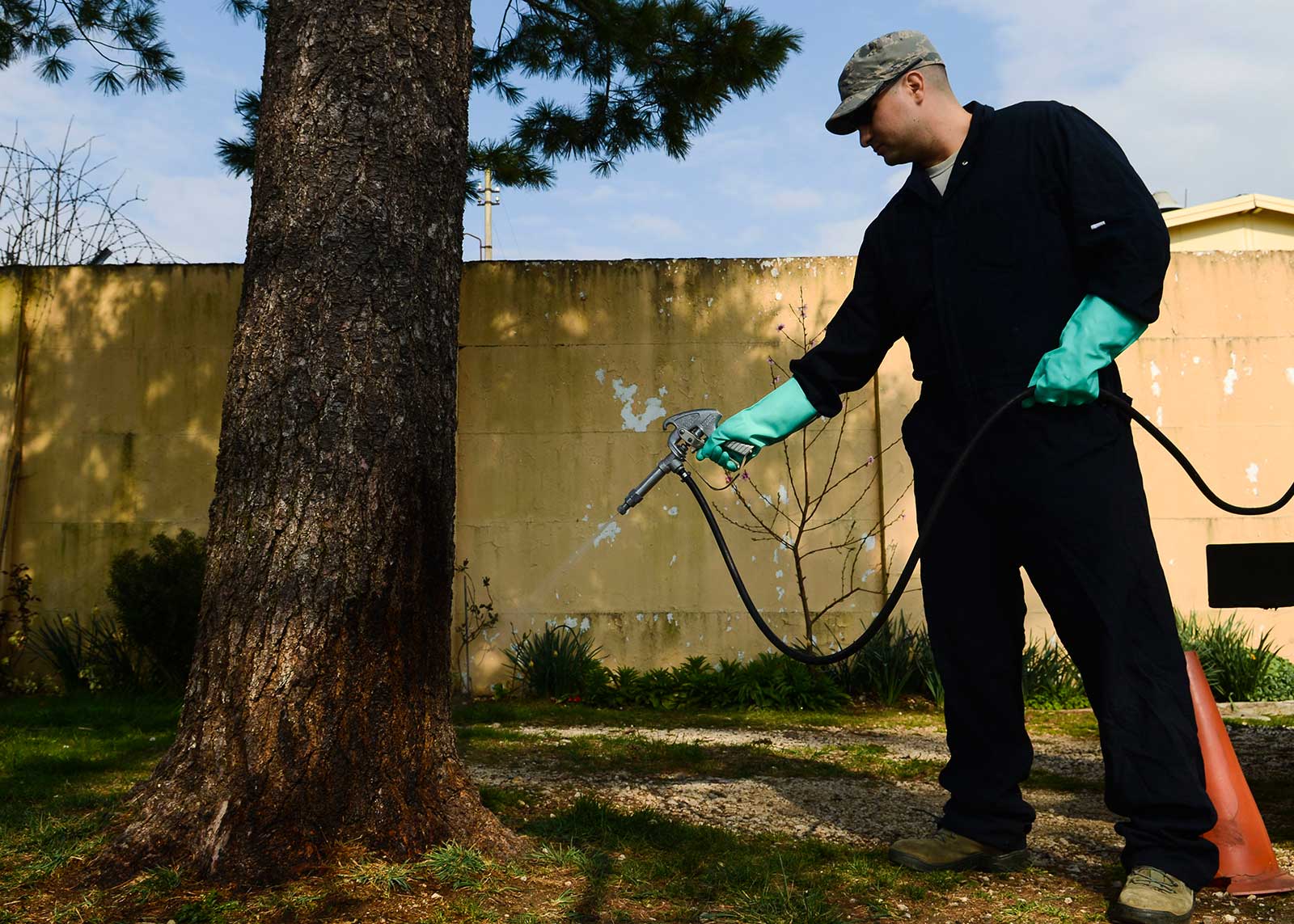 Terminate Control in Bronx - NYC - Pest Control & exterminator treating  apartments for roaches and rodents